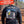 Load image into Gallery viewer, 1-81 Bravo, 3rd Platoon – BLOODHOUNDS - 10.29.26 GRAD
