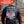 Load image into Gallery viewer, 1-50 Echo, 2nd Platoon - BUSHMASTERS - 09.04.26 GRAD

