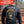 Load image into Gallery viewer, 2-54 Echo, 2nd Platoon – MURDER - 10.23.26 GRAD
