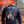 Load image into Gallery viewer, 2-54 Echo, 3rd Platoon – SAVAGES - 10.23.26 GRAD
